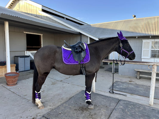 Purple Dressage Set